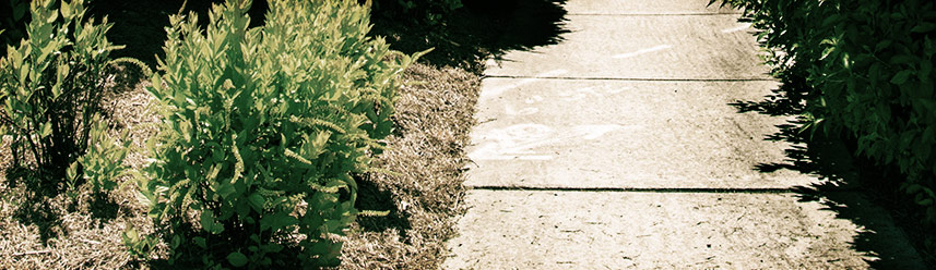 助您决胜市场的电话在线轰炸网页版